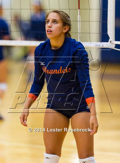 Thumbnail 1 in Brandeis vs O'Connor photogallery.