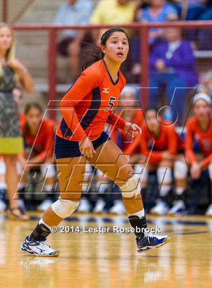 Thumbnail 1 in Brandeis vs O'Connor photogallery.