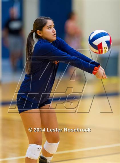 Thumbnail 1 in Brandeis vs O'Connor photogallery.