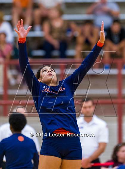 Thumbnail 1 in Brandeis vs O'Connor photogallery.