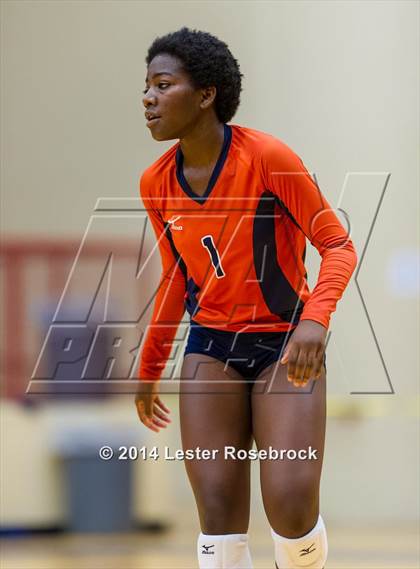Thumbnail 1 in Brandeis vs O'Connor photogallery.