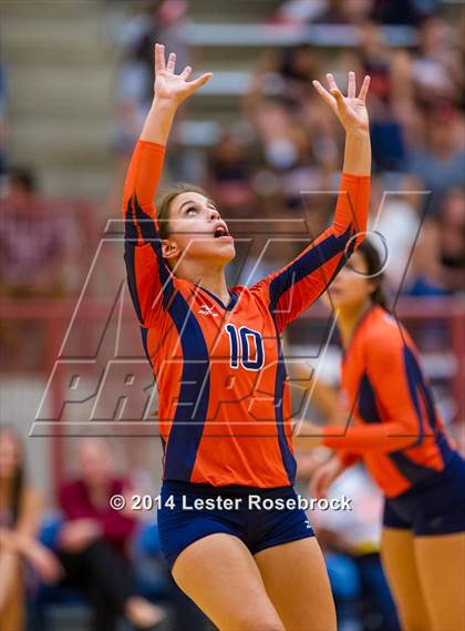 Thumbnail 1 in Brandeis vs O'Connor photogallery.