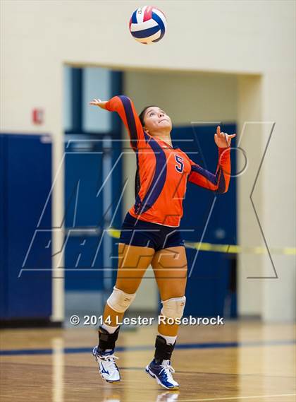 Thumbnail 1 in Brandeis vs O'Connor photogallery.