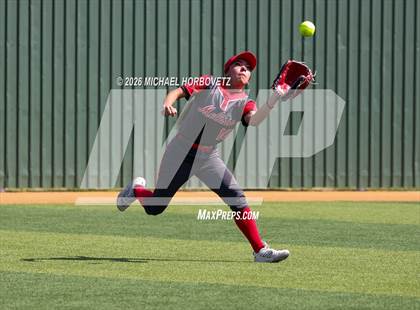 Thumbnail 2 in Melissa vs Aledo photogallery.