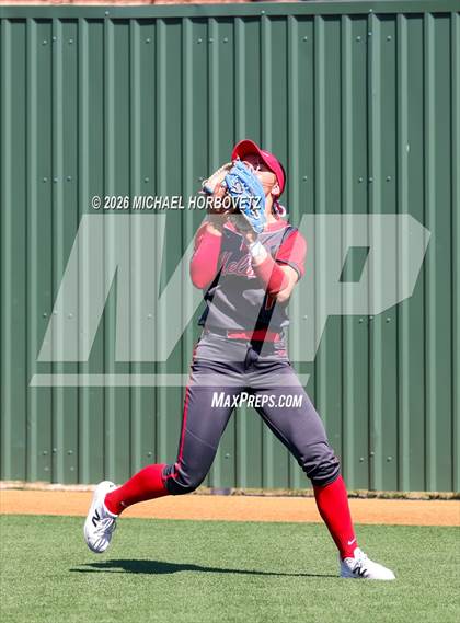 Thumbnail 2 in Melissa vs Aledo photogallery.