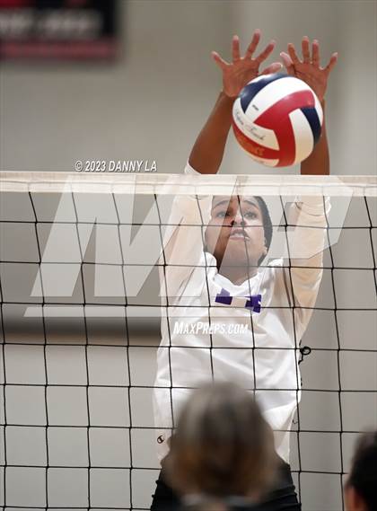 Thumbnail 1 in Chantilly @ James Madison photogallery.