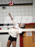 Photo from the gallery "Chantilly @ James Madison"