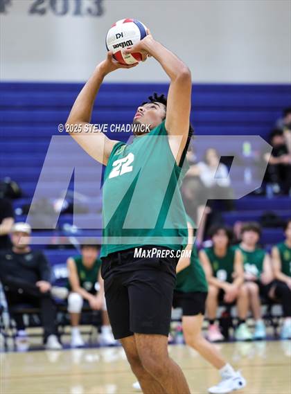 Thumbnail 2 in Basha @ Perry photogallery.