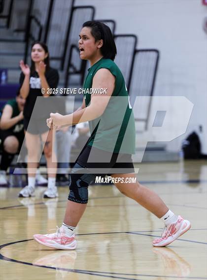 Thumbnail 2 in Basha @ Perry photogallery.