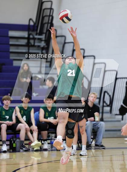 Thumbnail 2 in Basha @ Perry photogallery.