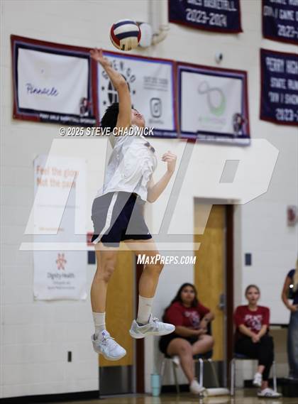 Thumbnail 2 in Basha @ Perry photogallery.