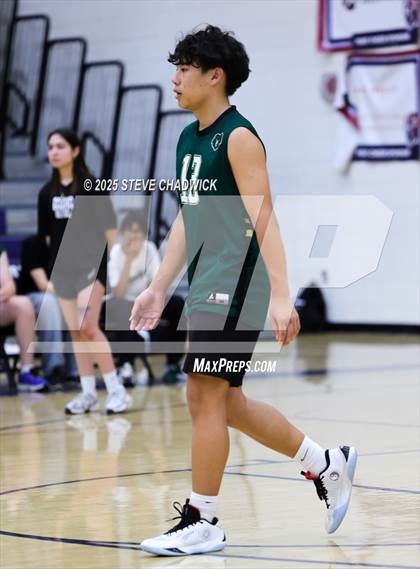 Thumbnail 1 in Basha @ Perry photogallery.