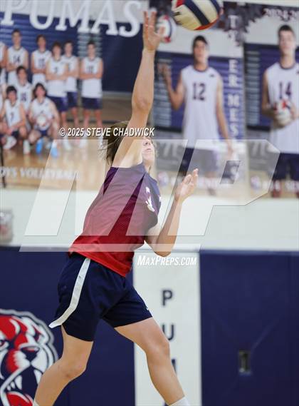 Thumbnail 1 in Basha @ Perry photogallery.