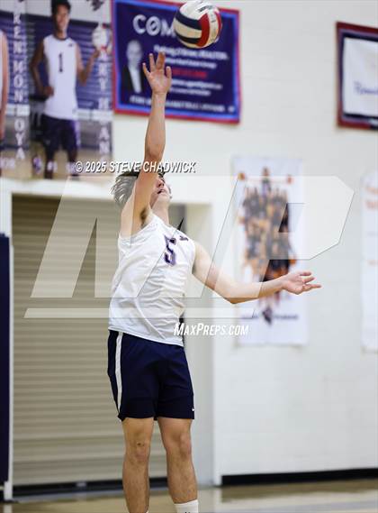 Thumbnail 1 in Basha @ Perry photogallery.
