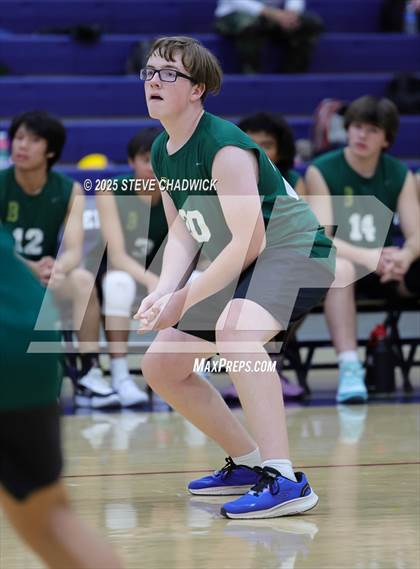 Thumbnail 1 in Basha @ Perry photogallery.