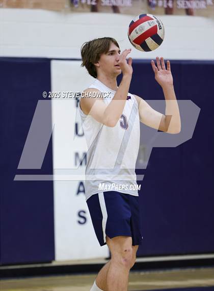 Thumbnail 1 in Basha @ Perry photogallery.