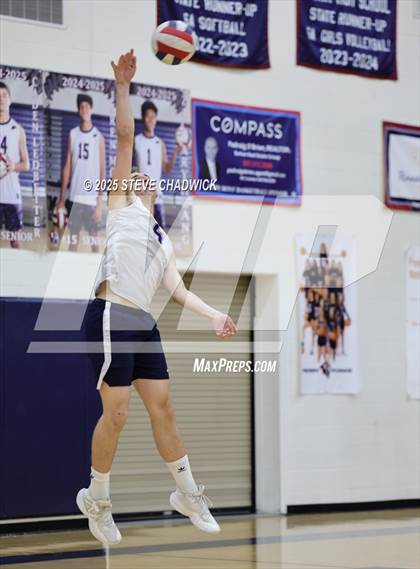 Thumbnail 1 in Basha @ Perry photogallery.