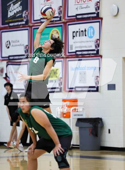 Thumbnail 3 in Basha @ Perry photogallery.