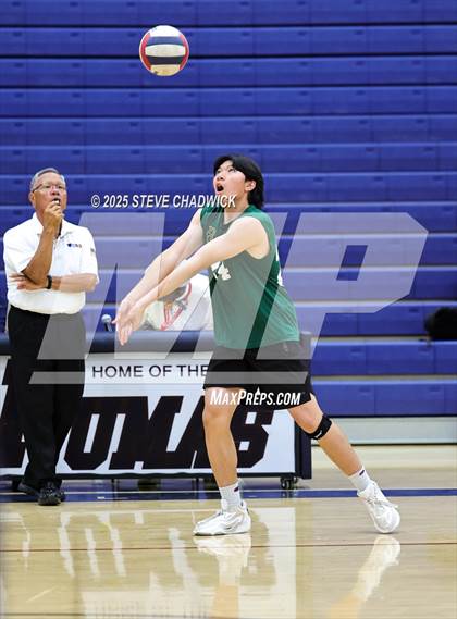 Thumbnail 1 in Basha @ Perry photogallery.