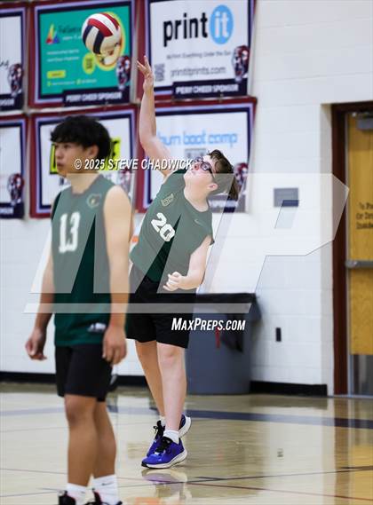 Thumbnail 1 in Basha @ Perry photogallery.