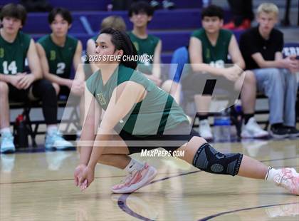 Thumbnail 3 in Basha @ Perry photogallery.