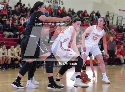 Thumbnail 1 in Tokay @ Lodi photogallery.