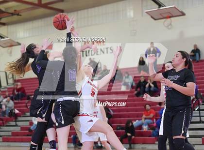 Thumbnail 1 in Tokay @ Lodi photogallery.