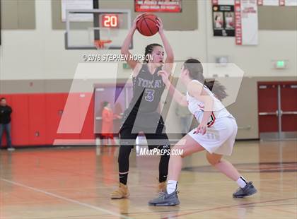 Thumbnail 1 in Tokay @ Lodi photogallery.