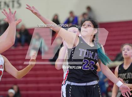 Thumbnail 1 in Tokay @ Lodi photogallery.
