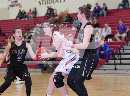 Thumbnail 1 in Tokay @ Lodi photogallery.
