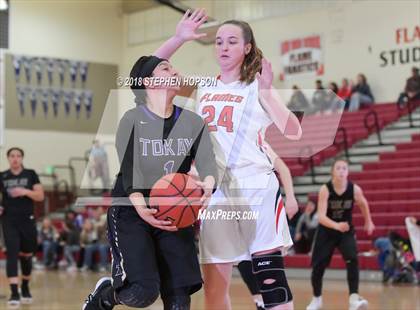 Thumbnail 1 in Tokay @ Lodi photogallery.
