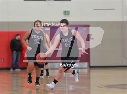 Thumbnail 1 in Tokay @ Lodi photogallery.