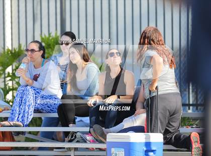 Thumbnail 3 in Crespi vs Notre Dame (SO) photogallery.