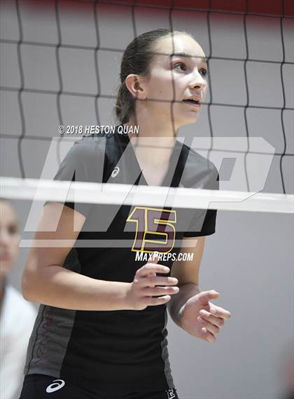 Thumbnail 3 in Esperanza @ Troy photogallery.