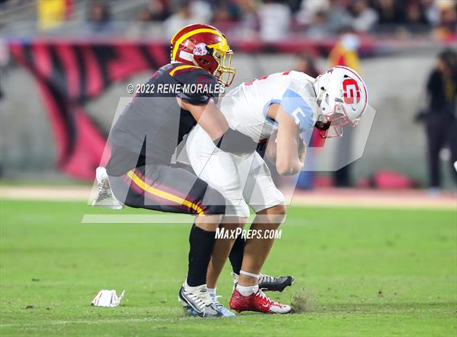 null - Photo 41