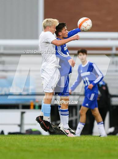 null - Photo 41