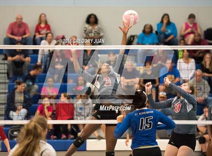 Thumbnail 1 in St. Scholastica vs. McGehee (Penguin Volleyball Classic) photogallery.