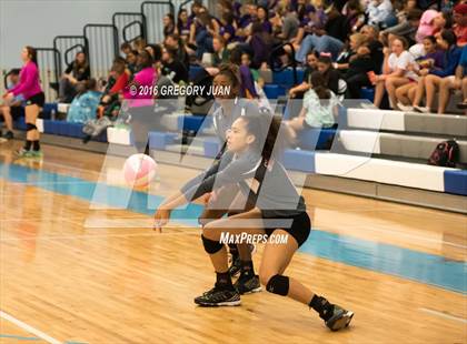 Thumbnail 1 in St. Scholastica vs. McGehee (Penguin Volleyball Classic) photogallery.