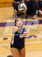 Photo from the gallery "Davis Sr. @ Franklin"