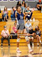 Photo from the gallery "Davis Sr. @ Franklin"