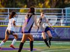 Photo from the gallery "Bosque @ Kirtland Central"