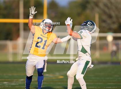 Thumbnail 3 in Eagle @ Meridian photogallery.