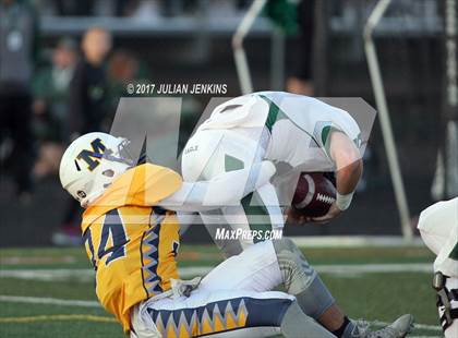 Thumbnail 3 in Eagle @ Meridian photogallery.