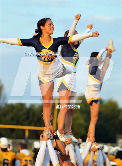 Thumbnail 3 in Eagle @ Meridian photogallery.
