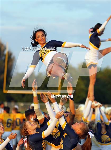 Thumbnail 3 in Eagle @ Meridian photogallery.