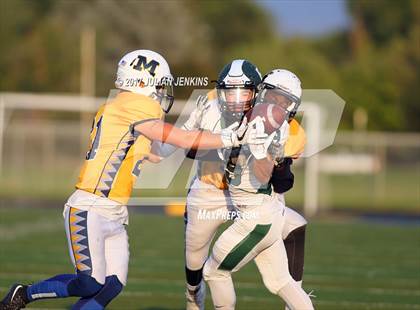 Thumbnail 3 in Eagle @ Meridian photogallery.