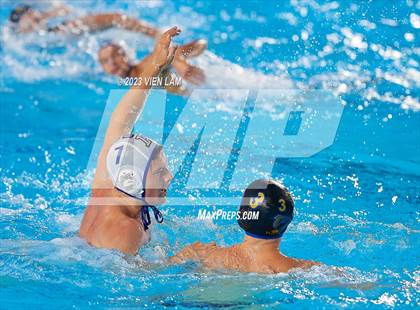 Thumbnail 3 in Acalanes @ Foothill photogallery.
