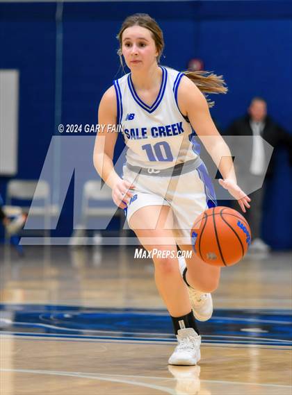 Thumbnail 2 in Rhea County @ Sale Creek  (Battle at the Creek) photogallery.