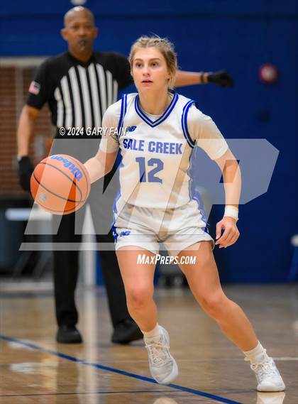 Thumbnail 1 in Rhea County @ Sale Creek  (Battle at the Creek) photogallery.