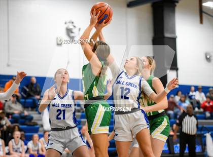 Thumbnail 3 in Rhea County @ Sale Creek  (Battle at the Creek) photogallery.